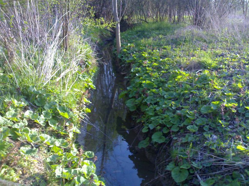 200704091837 .jpg